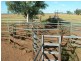 St George QLD 4487