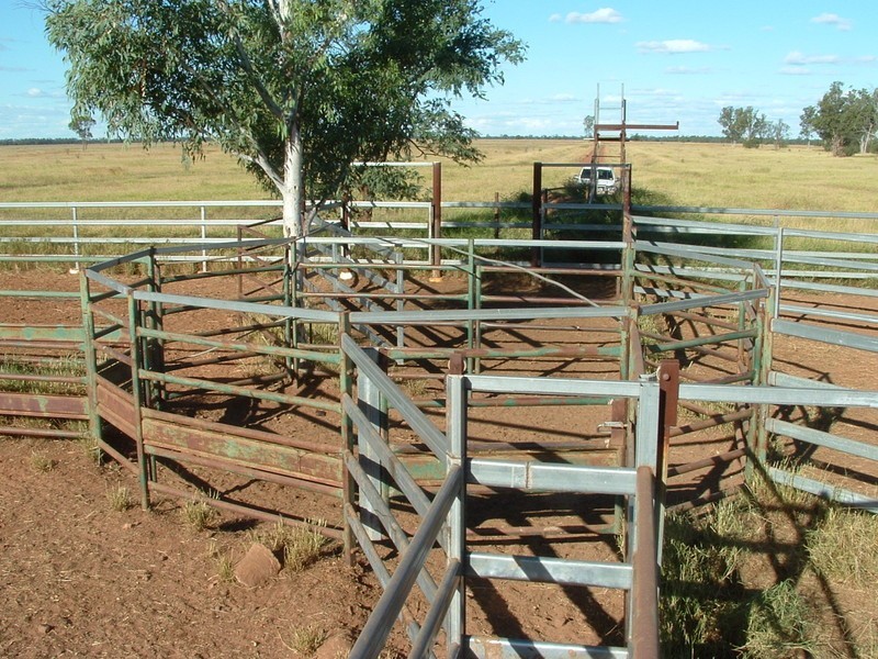 St George QLD 4487