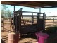 St George QLD 4487