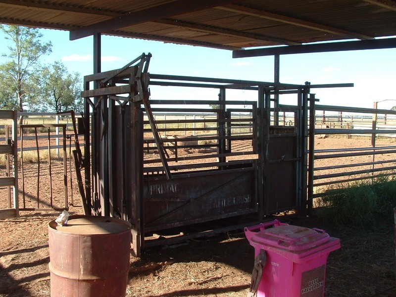 St George QLD 4487