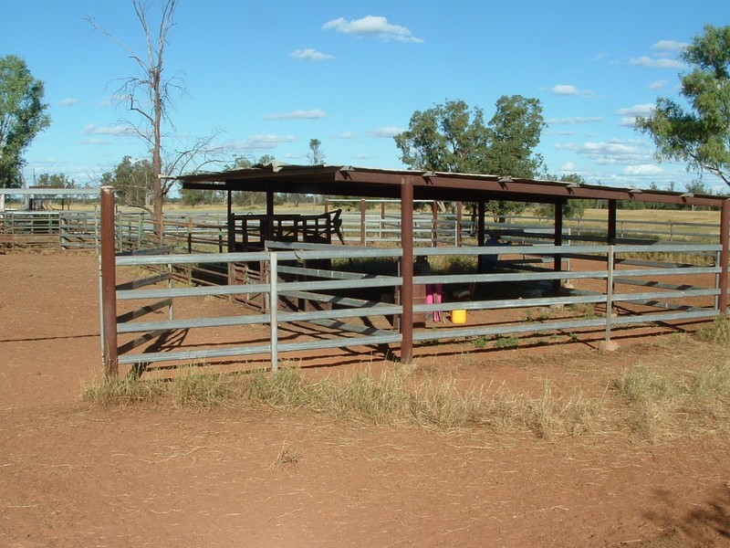 St George QLD 4487
