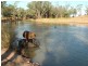 St George QLD 4487