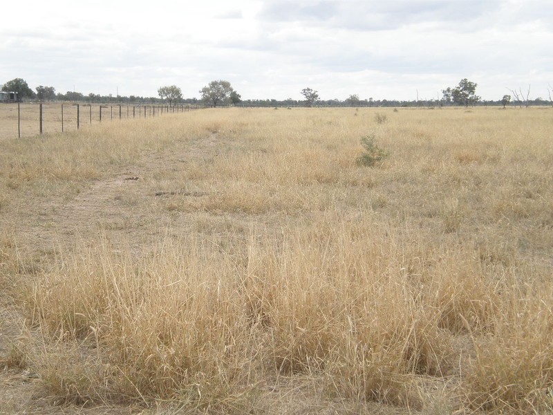 Dirranbandi QLD 4486