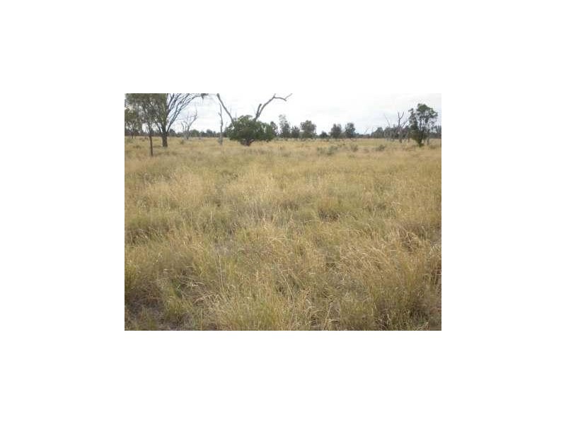 Dirranbandi QLD 4486