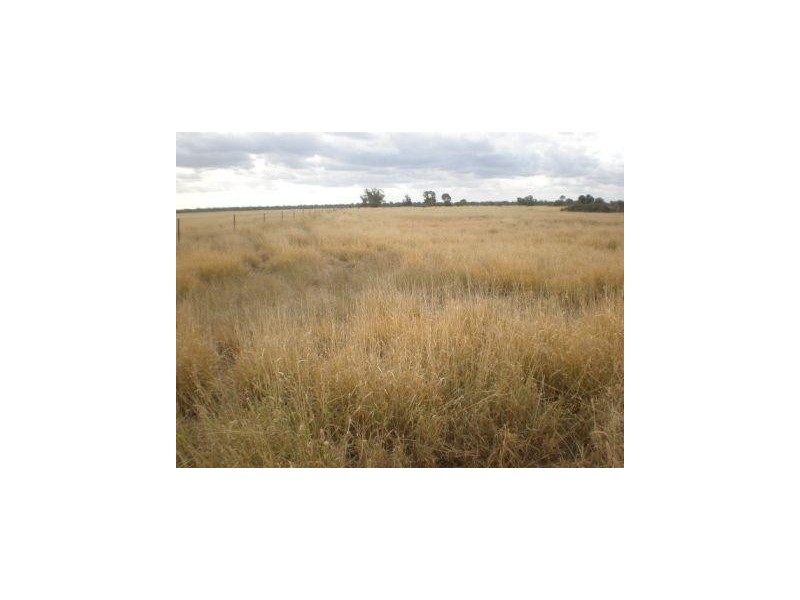 Dirranbandi QLD 4486