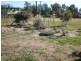 22 Charles Street, St George QLD 4487
