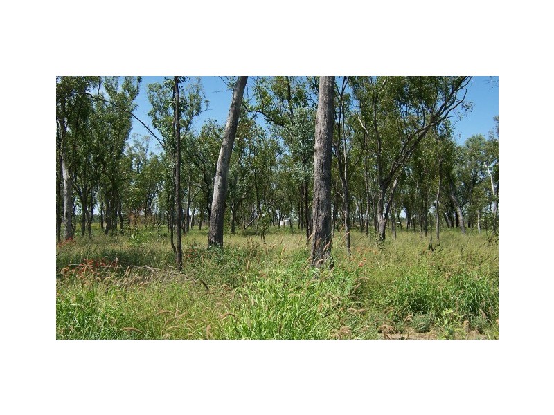 Augathella QLD 4477 the real estate agency Withdrawn