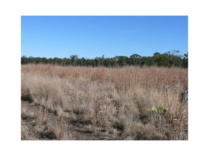 Augathella QLD 4477 the real estate agency Withdrawn