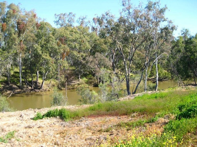 Goondiwindi QLD 4390