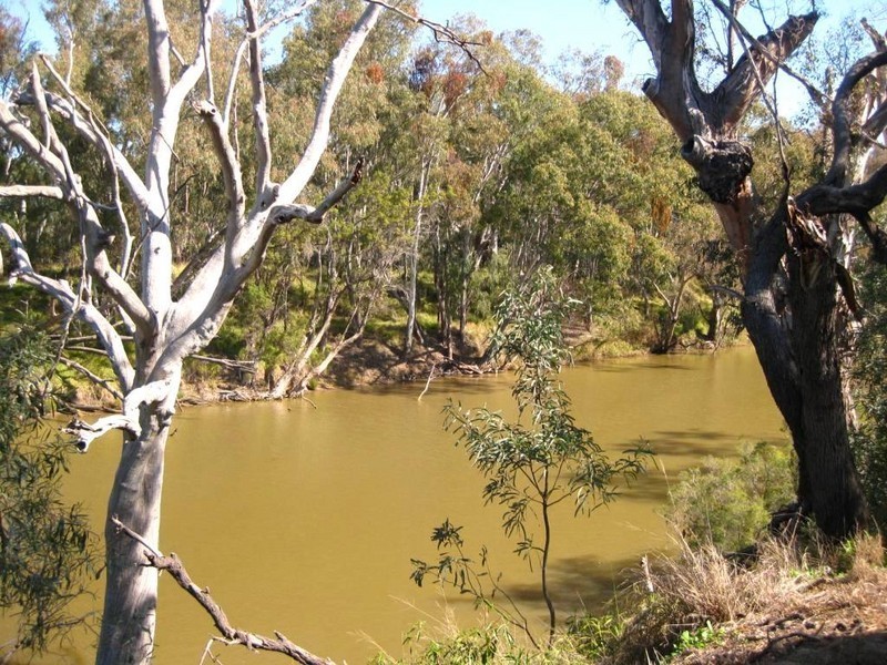 Goondiwindi QLD 4390