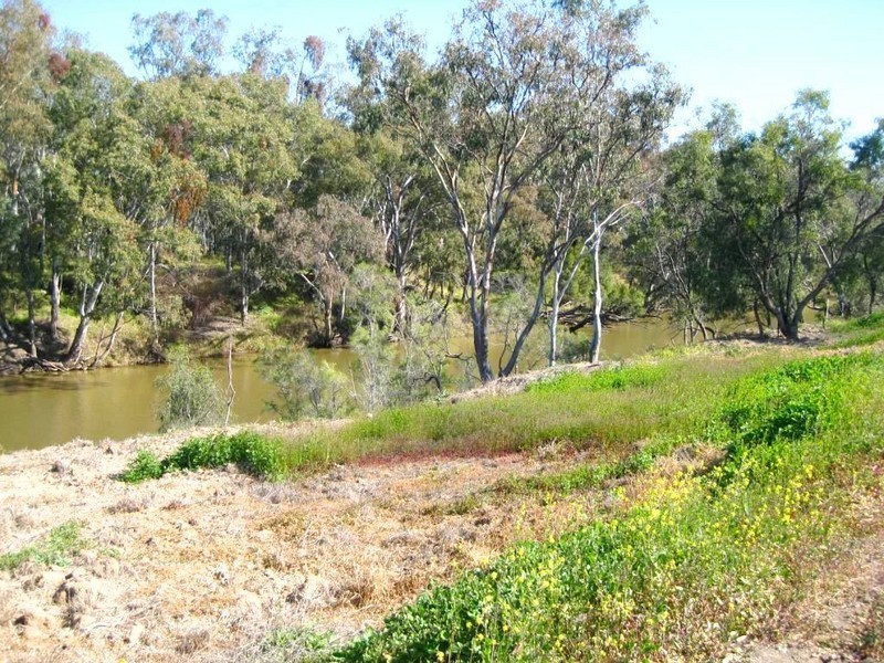 Goondiwindi QLD 4390