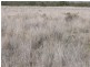 ‘ Wottons”, Injune QLD 4454