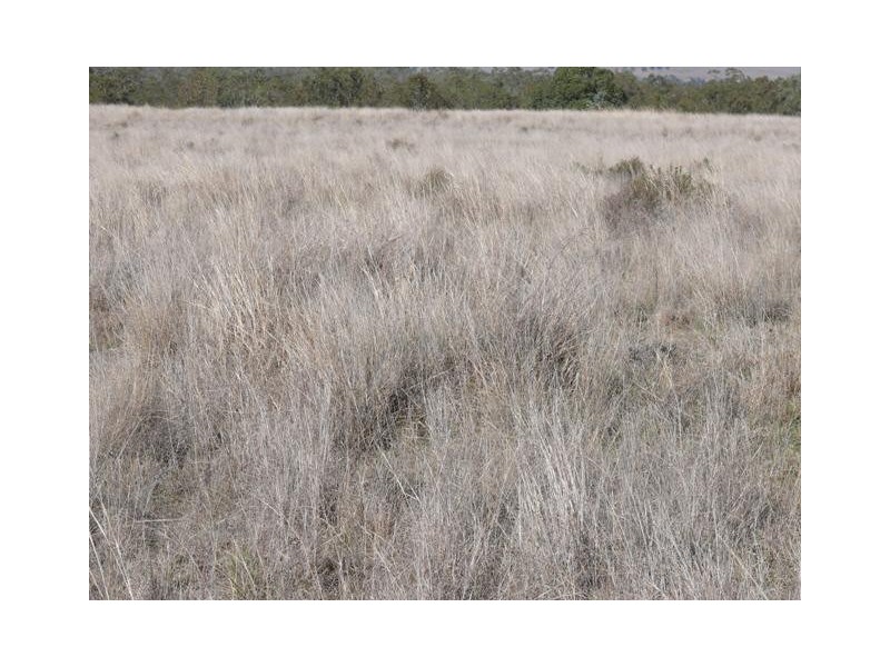 ‘ Wottons”, Injune QLD 4454