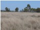 ‘ Wottons”, Injune QLD 4454