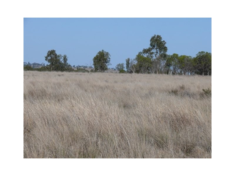 ‘ Wottons”, Injune QLD 4454