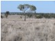 ‘ Wottons”, Injune QLD 4454