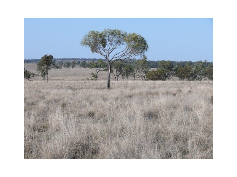 ‘ Wottons”, Injune QLD 4454