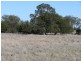 ‘ Wottons”, Injune QLD 4454