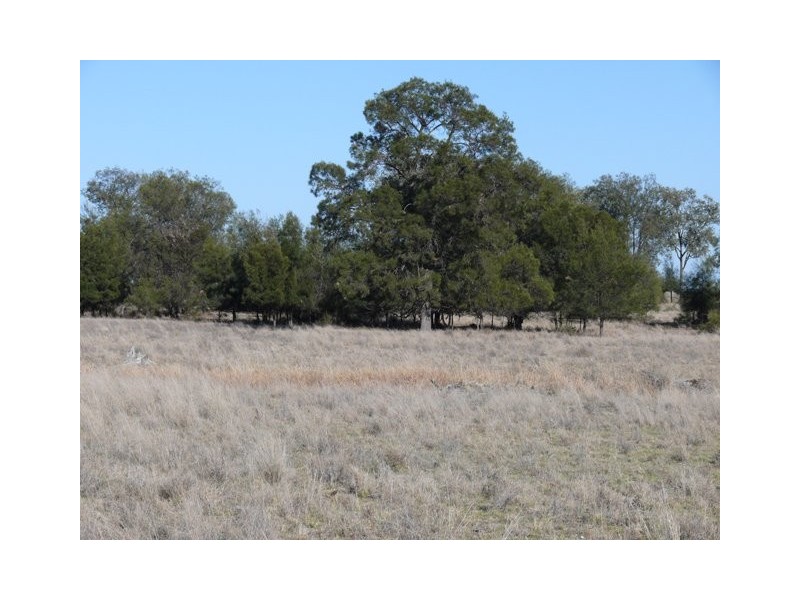 ‘ Wottons”, Injune QLD 4454