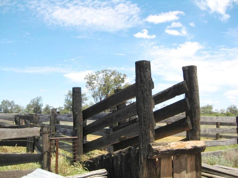 . “Stirling Park”, Yelarbon QLD 4388