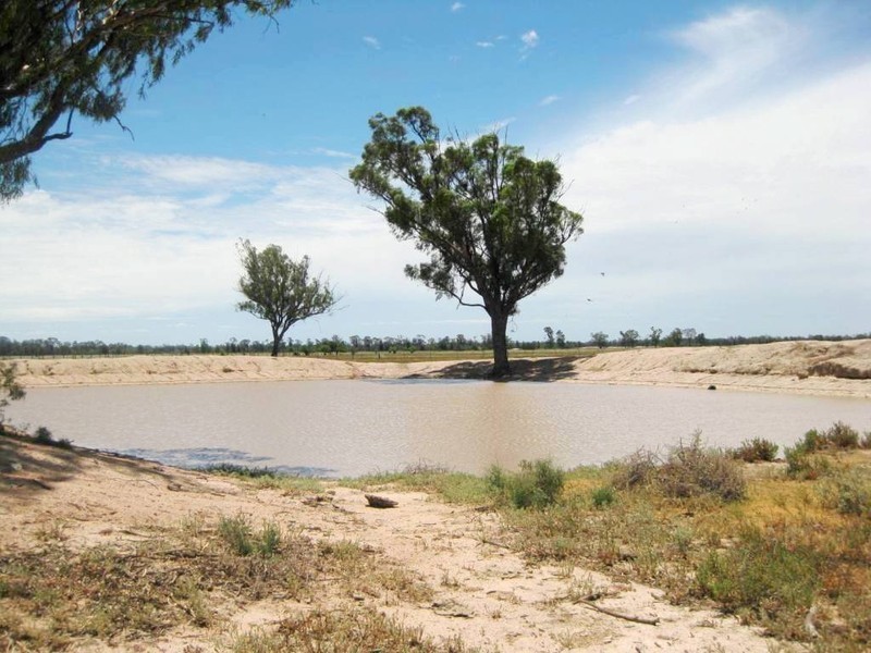 . “Stirling Park”, Yelarbon QLD 4388