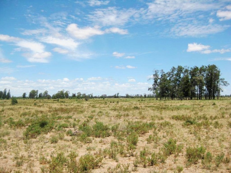 . “Stirling Park”, Yelarbon QLD 4388