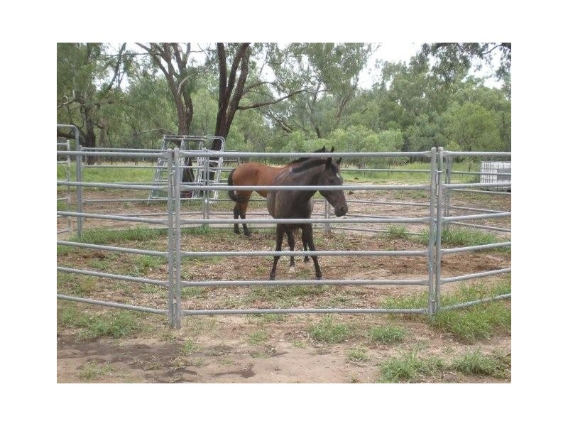 222 Whytes Rd, St George QLD 4487