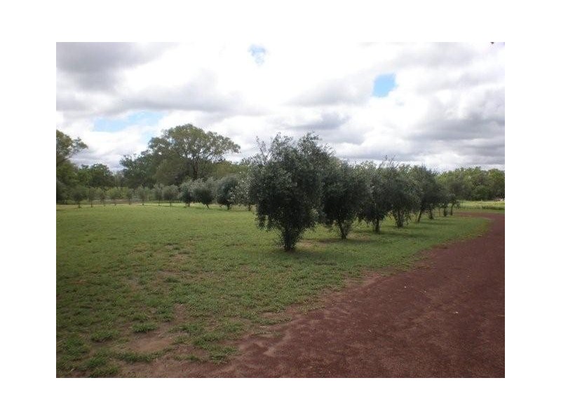 222 Whytes Rd, St George QLD 4487