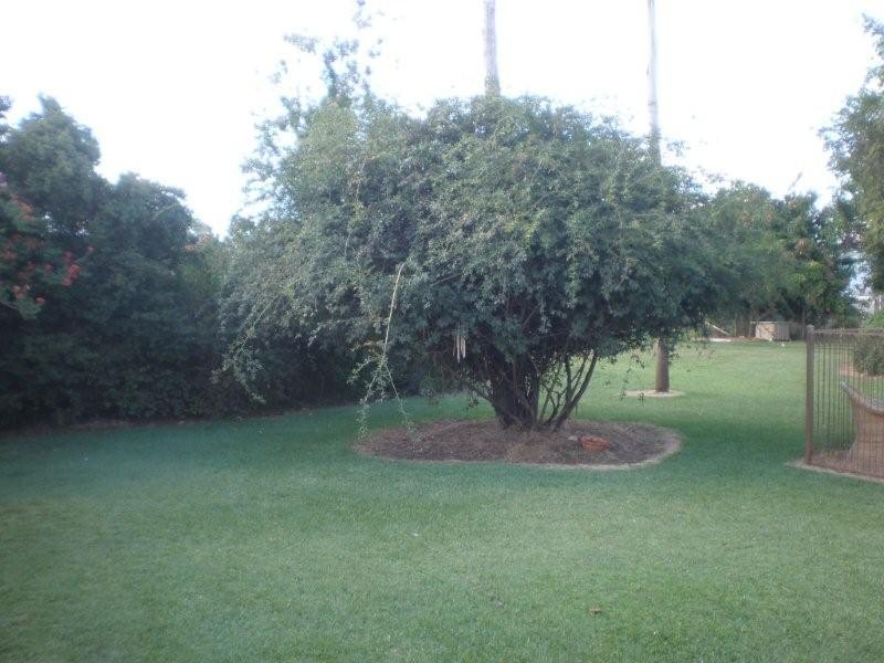 9 Murchison Street, St George QLD 4487