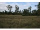 Miles QLD 4415