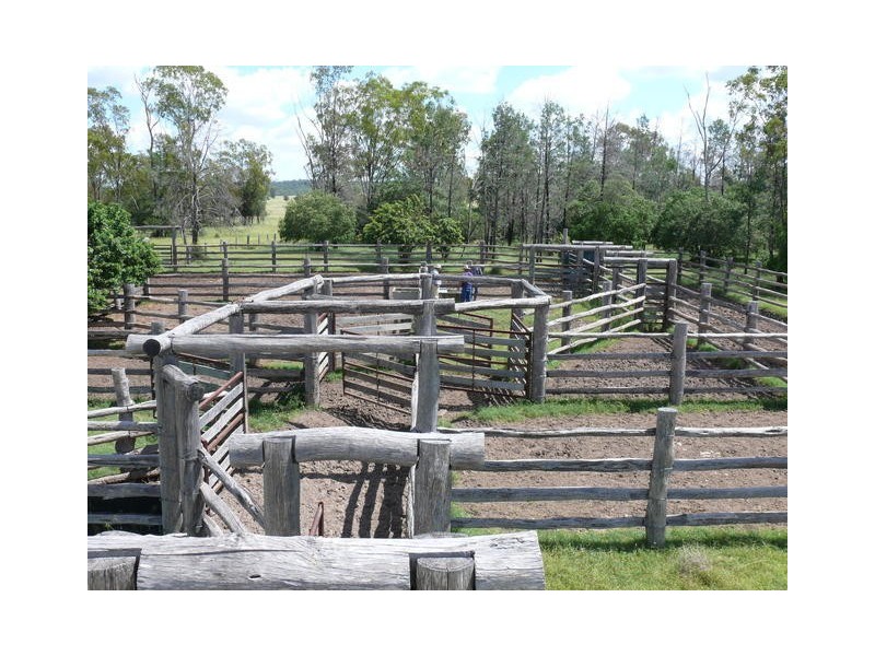 ” Weranga”, Dalby QLD 4405