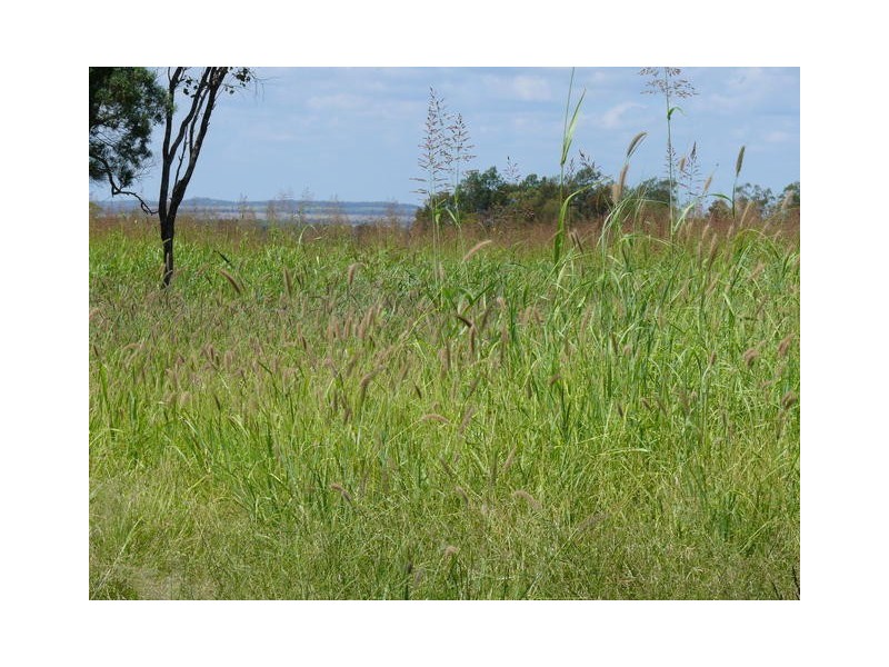 ” Weranga”, Dalby QLD 4405