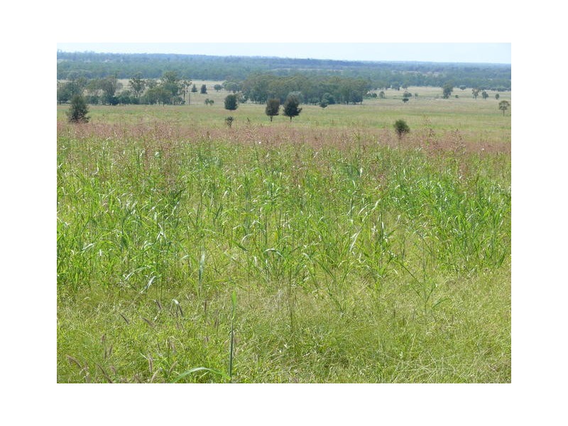 ” Weranga”, Dalby QLD 4405