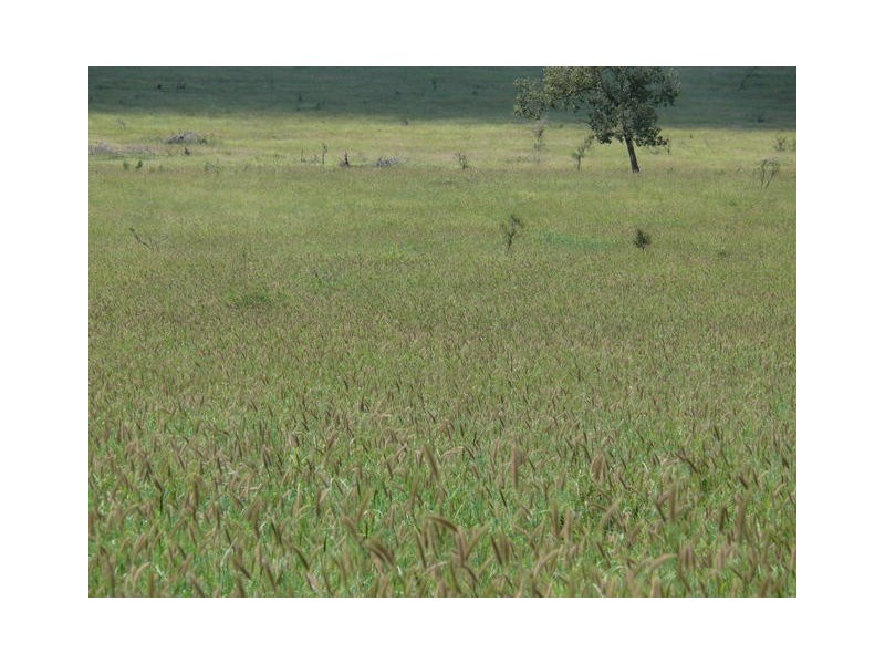 ” Weranga”, Dalby QLD 4405