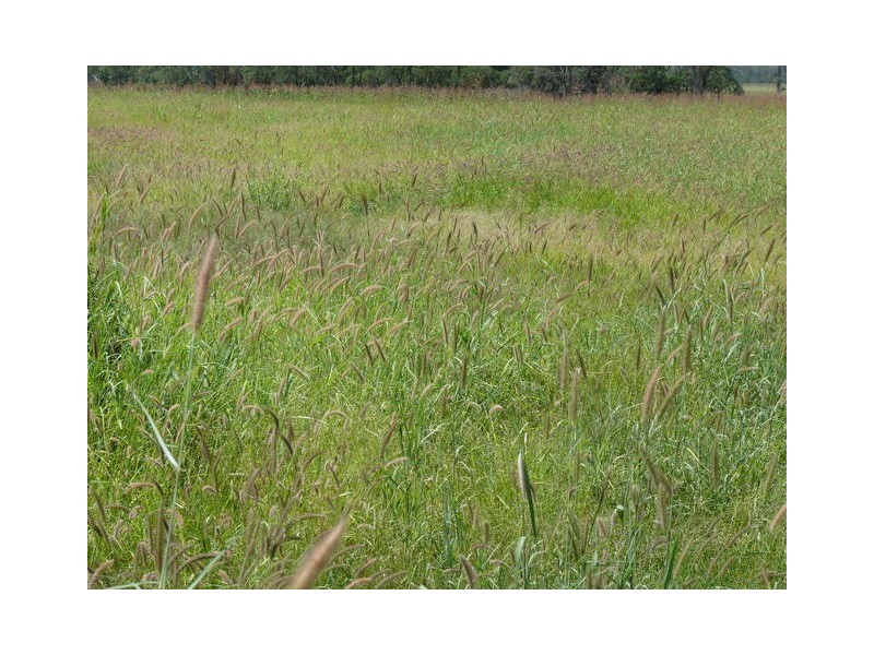 ” Weranga”, Dalby QLD 4405