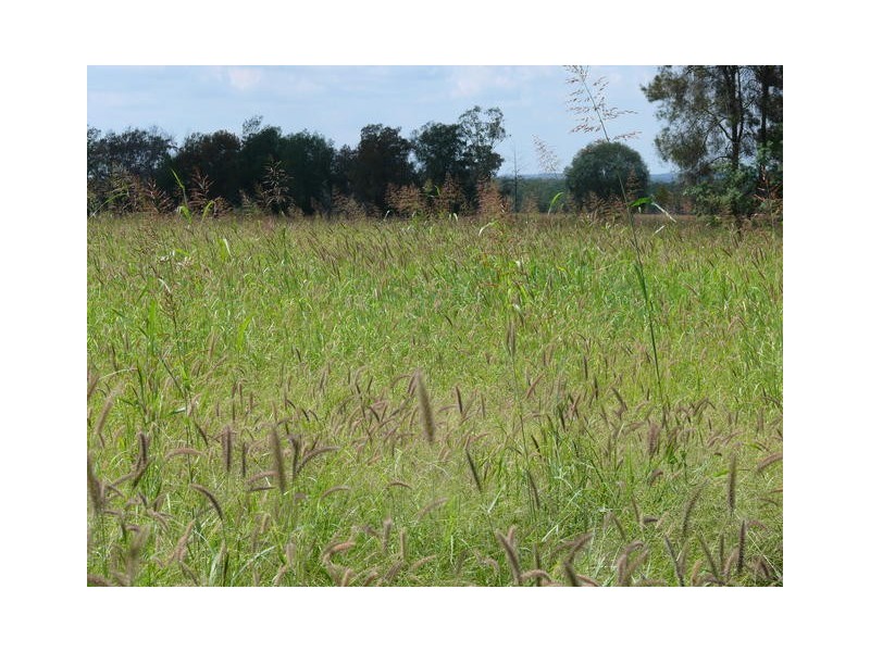 ” Weranga”, Dalby QLD 4405