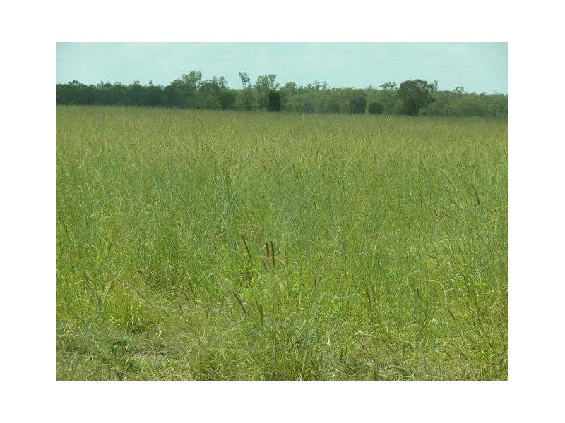 ” Weranga”, Dalby QLD 4405