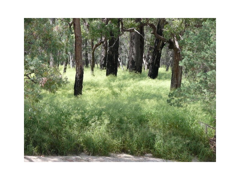 ” Weranga”, Dalby QLD 4405