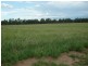 Roma QLD 4455