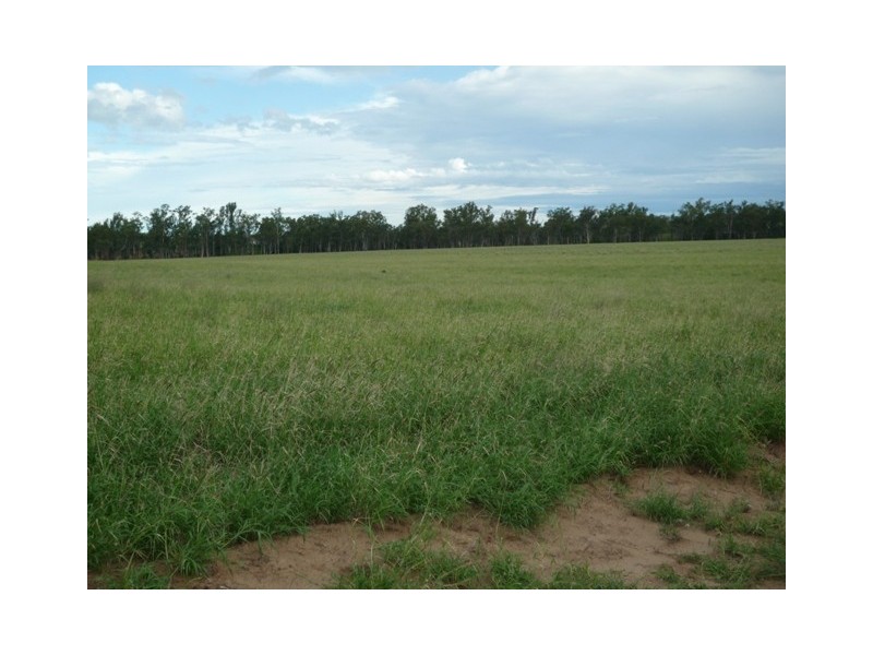 Roma QLD 4455