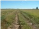 Roma QLD 4455