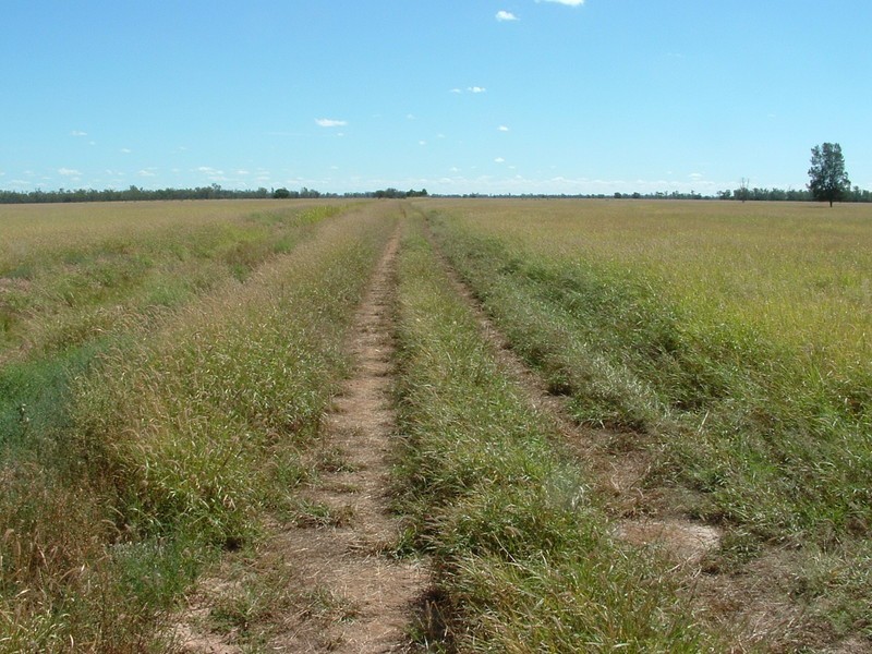 Roma QLD 4455