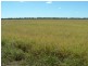 Roma QLD 4455
