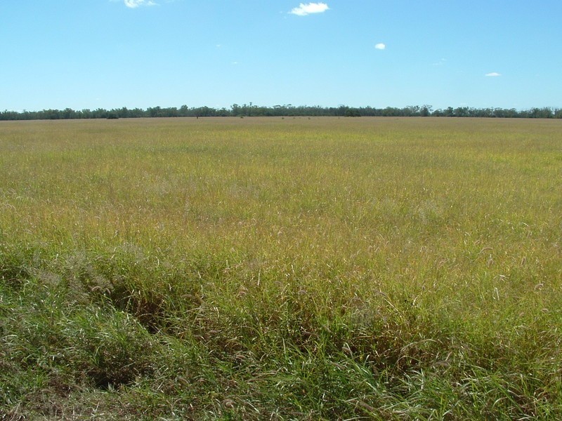 Roma QLD 4455