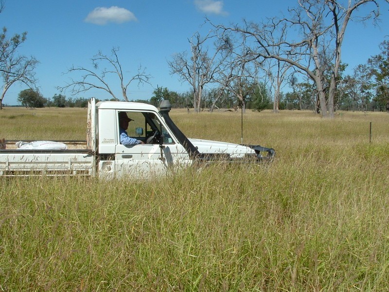 Roma QLD 4455