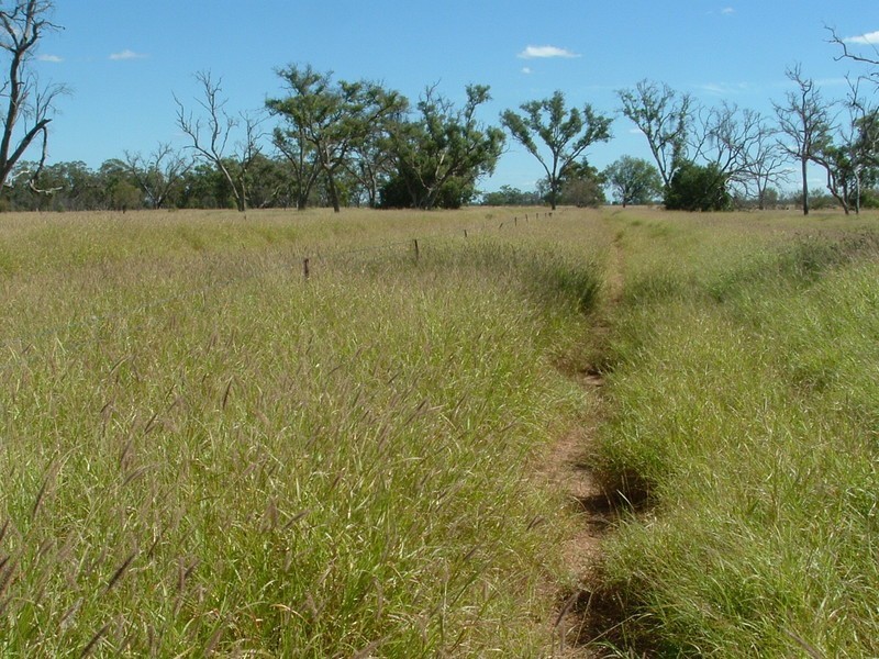 Roma QLD 4455