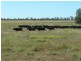 Roma QLD 4455