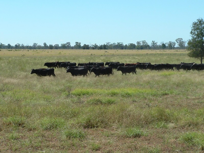 Roma QLD 4455