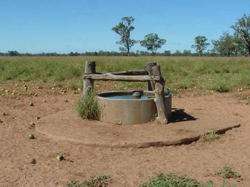 Roma QLD 4455