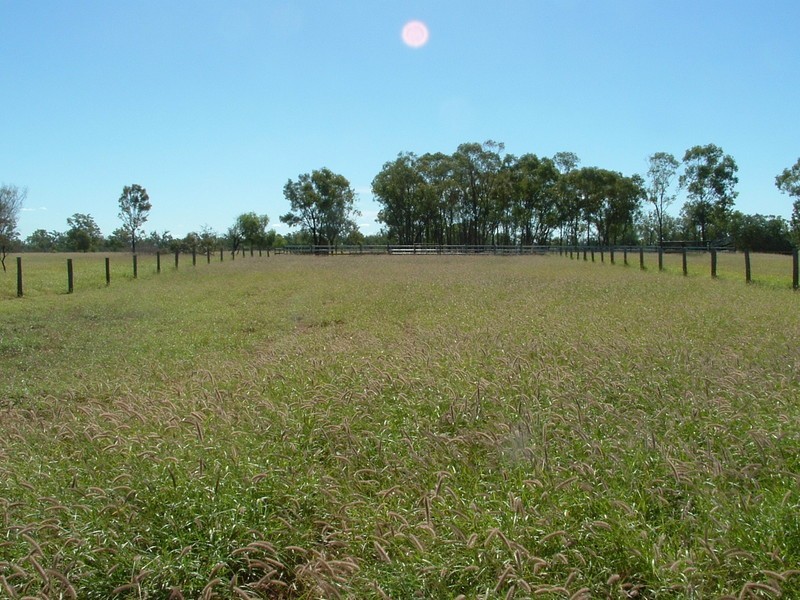 Roma QLD 4455